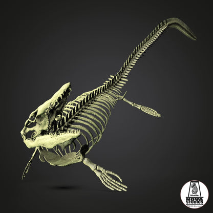 Tylosaurus Proriger