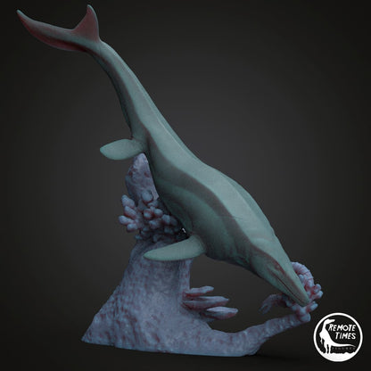 Mosasaurus hoffmanni