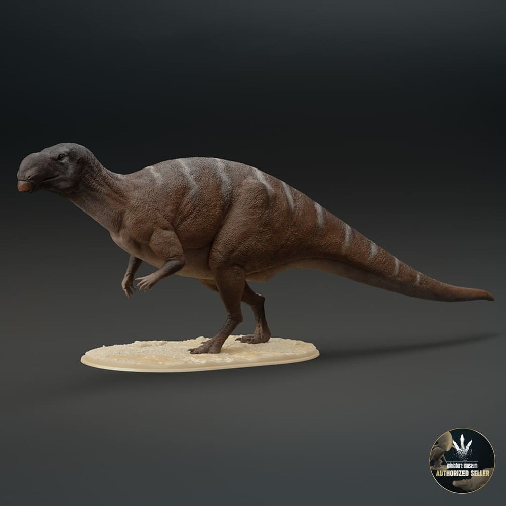 Muttaburrasaurus langdoni – Dinosauria Creatures