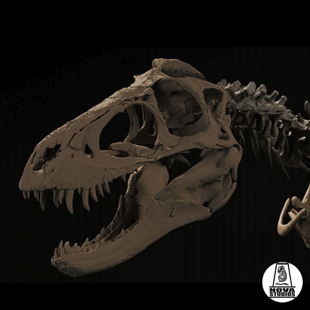 Nanotyrannus