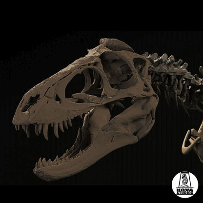Nanotyrannus