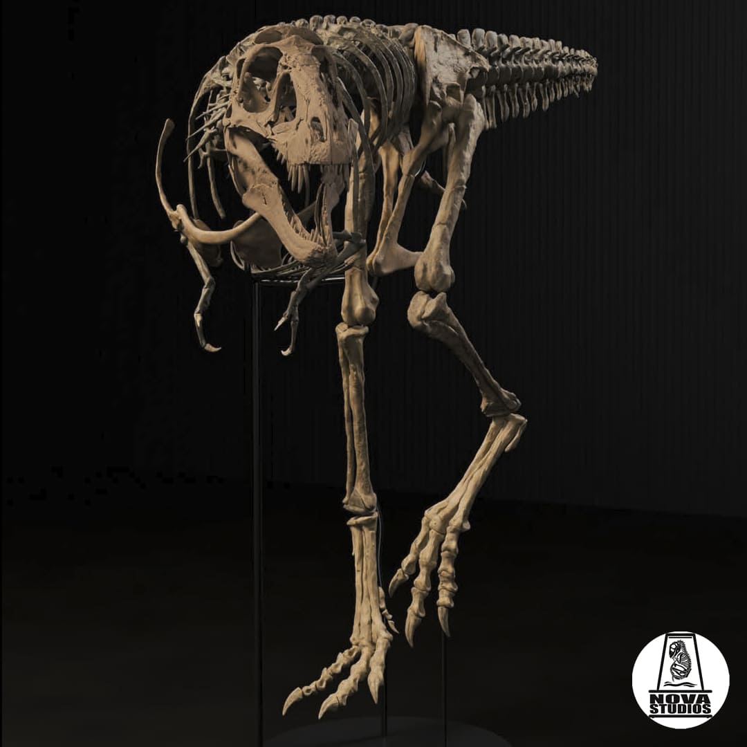 Nanotyrannus