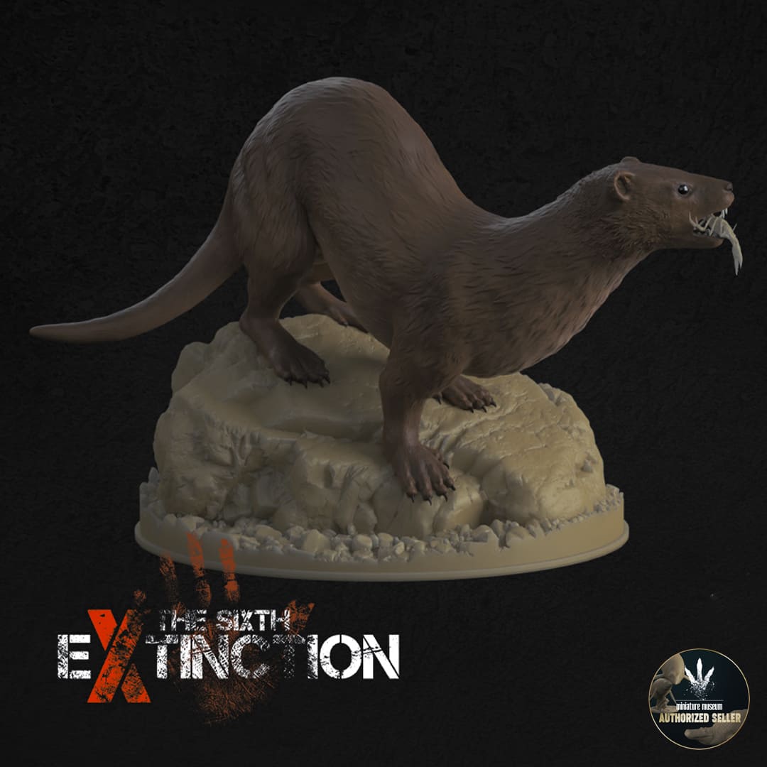 Neogale macrodon – Dinosauria Creatures