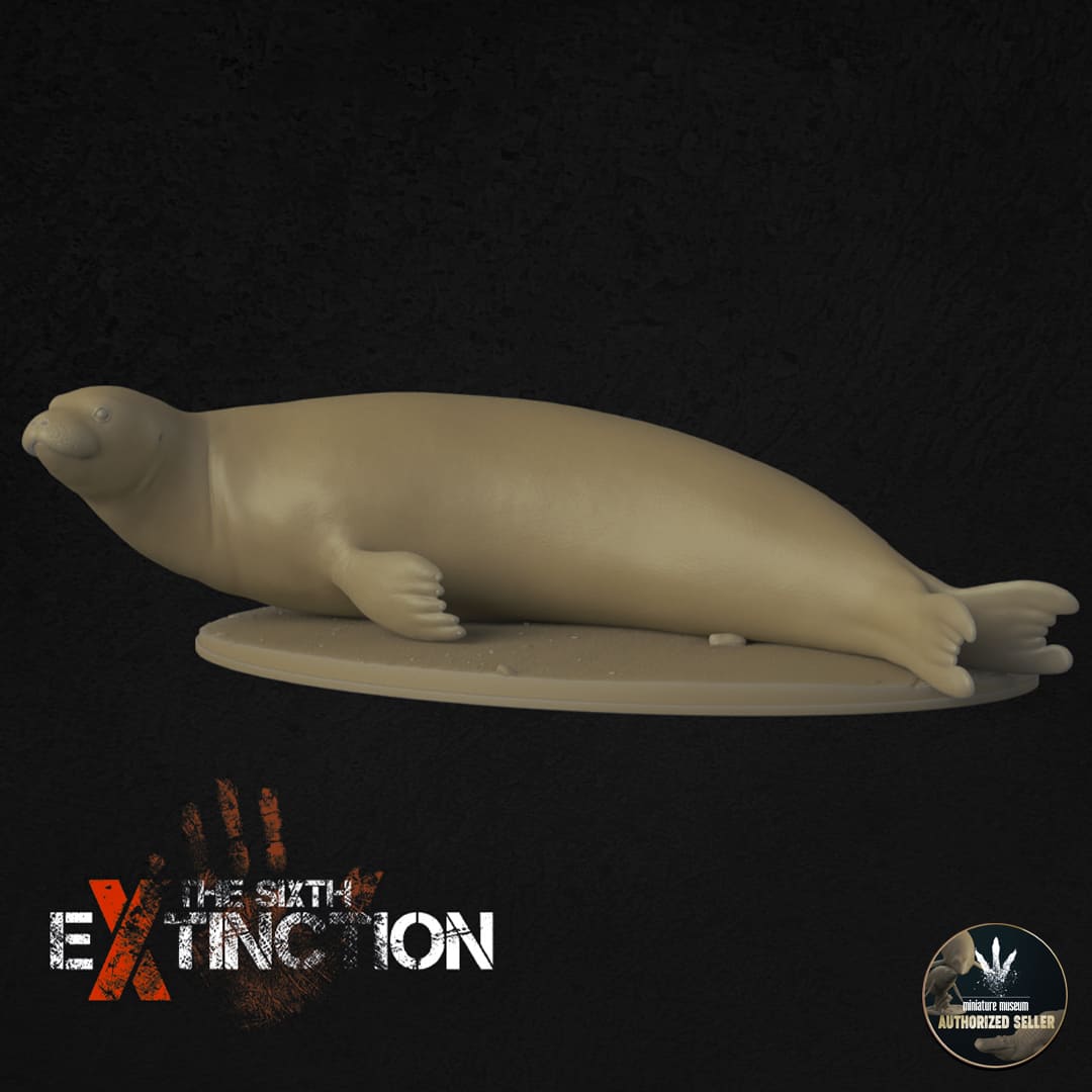 Neomonachus tropicalis Dinosauria Creatures