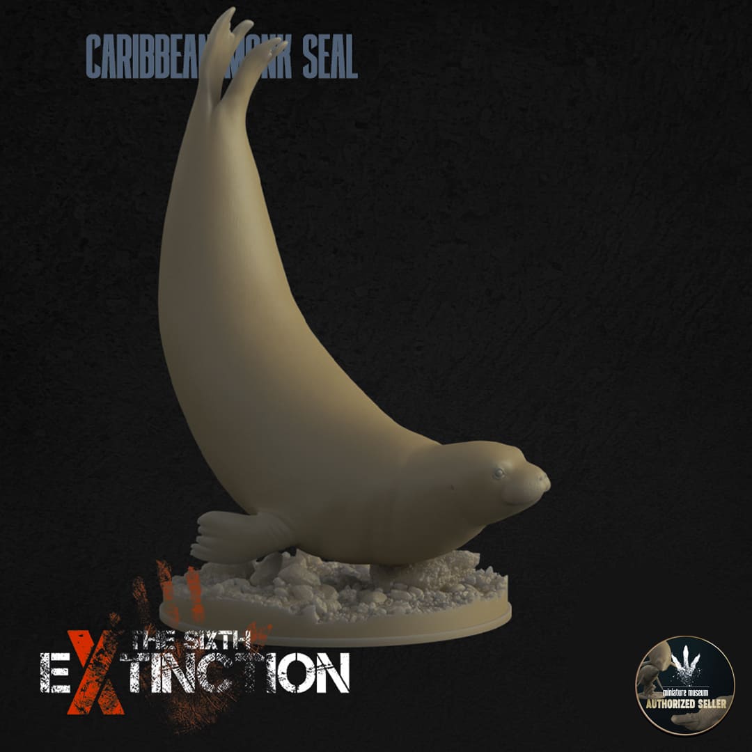 Neomonachus tropicalis Dinosauria Creatures