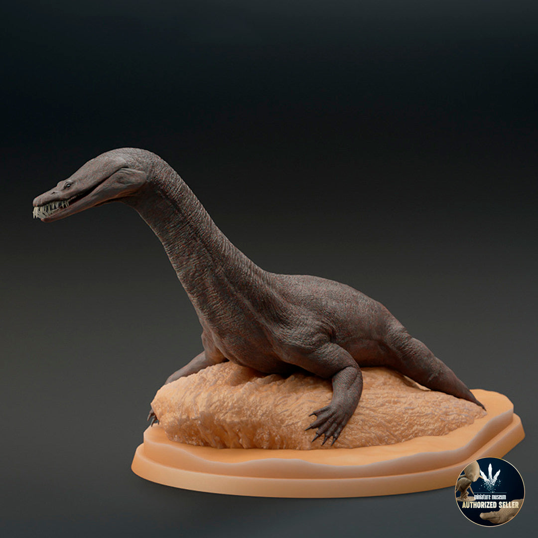 Nothosaurus mirabilis – Dinosauria Creatures