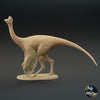 Ornithomimus velox