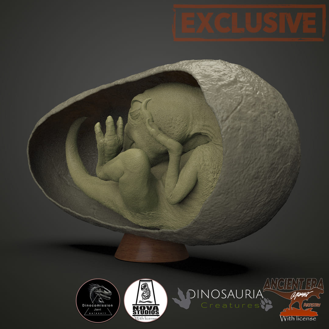 Baby Yingliang, der Oviraptor-Embryo