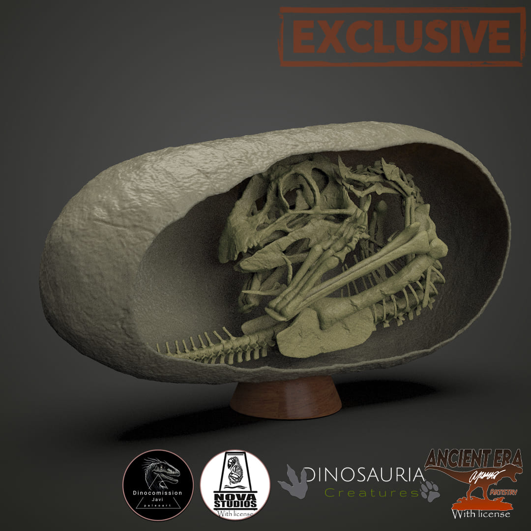 Baby Yingliang, der Oviraptor-Embryo