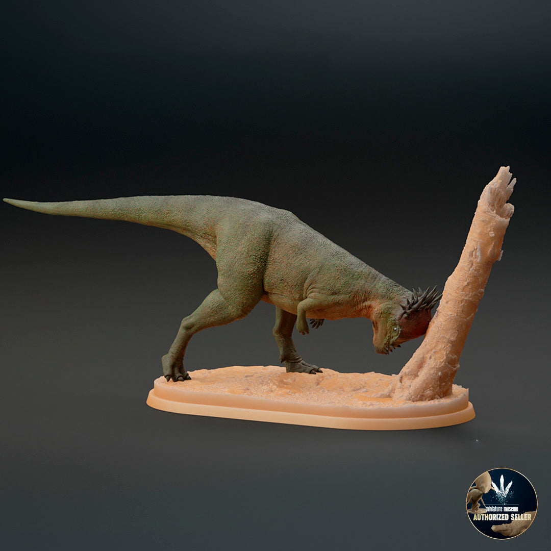 Pachycephalosaurus