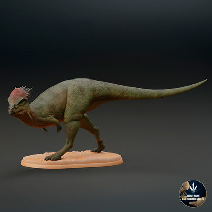 Pachycephalosaurus