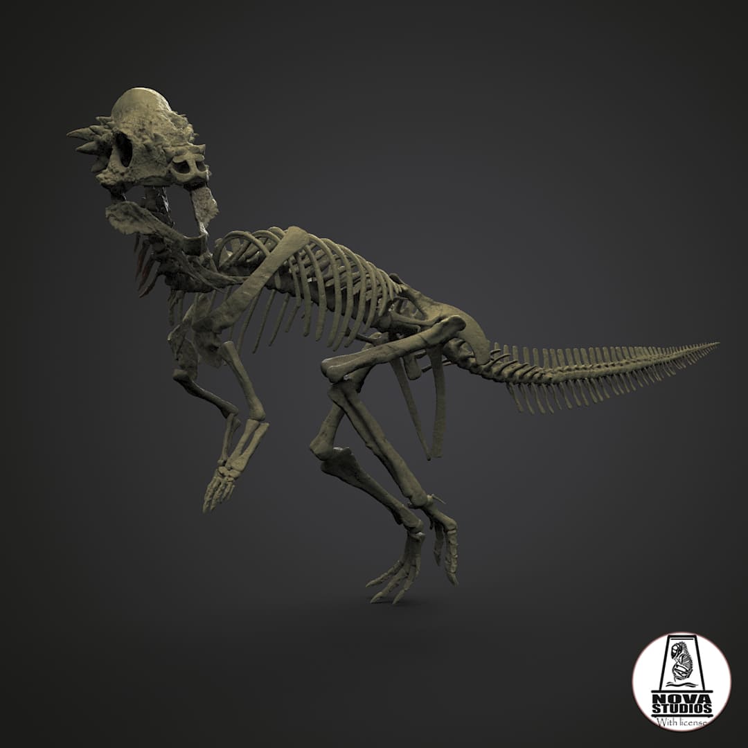 Pachycephalosaurus wyomingensis