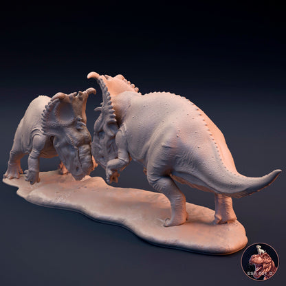 Pachyrhinosaurus