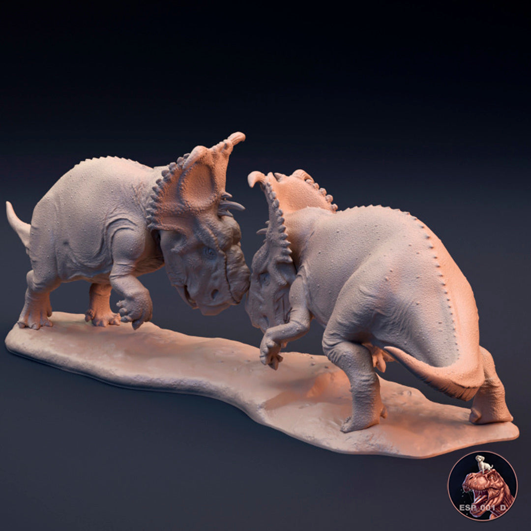 Pachyrhinosaurus