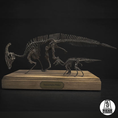 Parasaurolophus walkeri Skelett