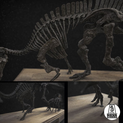 Parasaurolophus walkeri Skelett