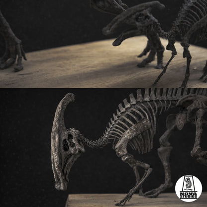 Parasaurolophus walkeri Skelett