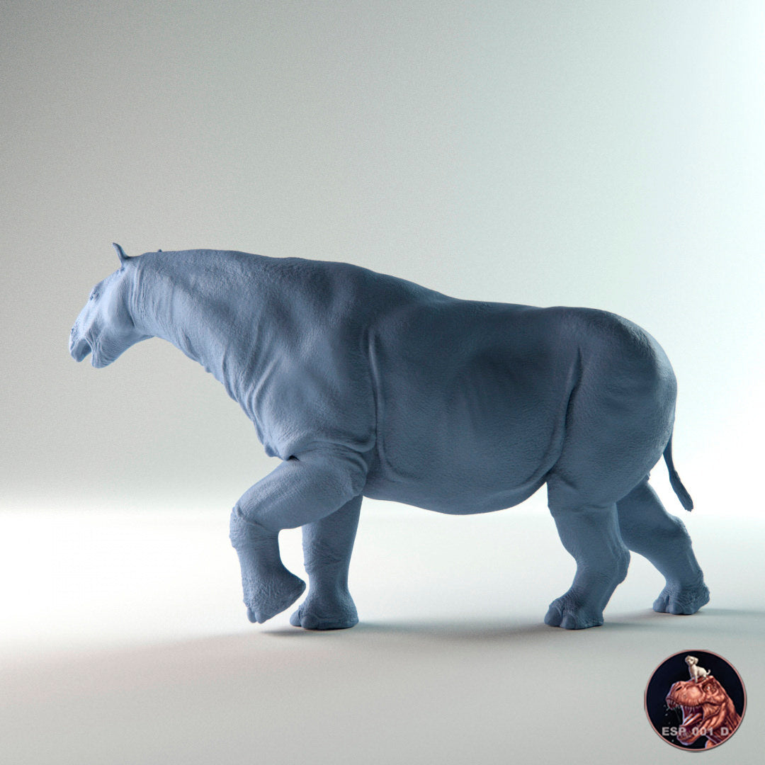 Paraceratherium