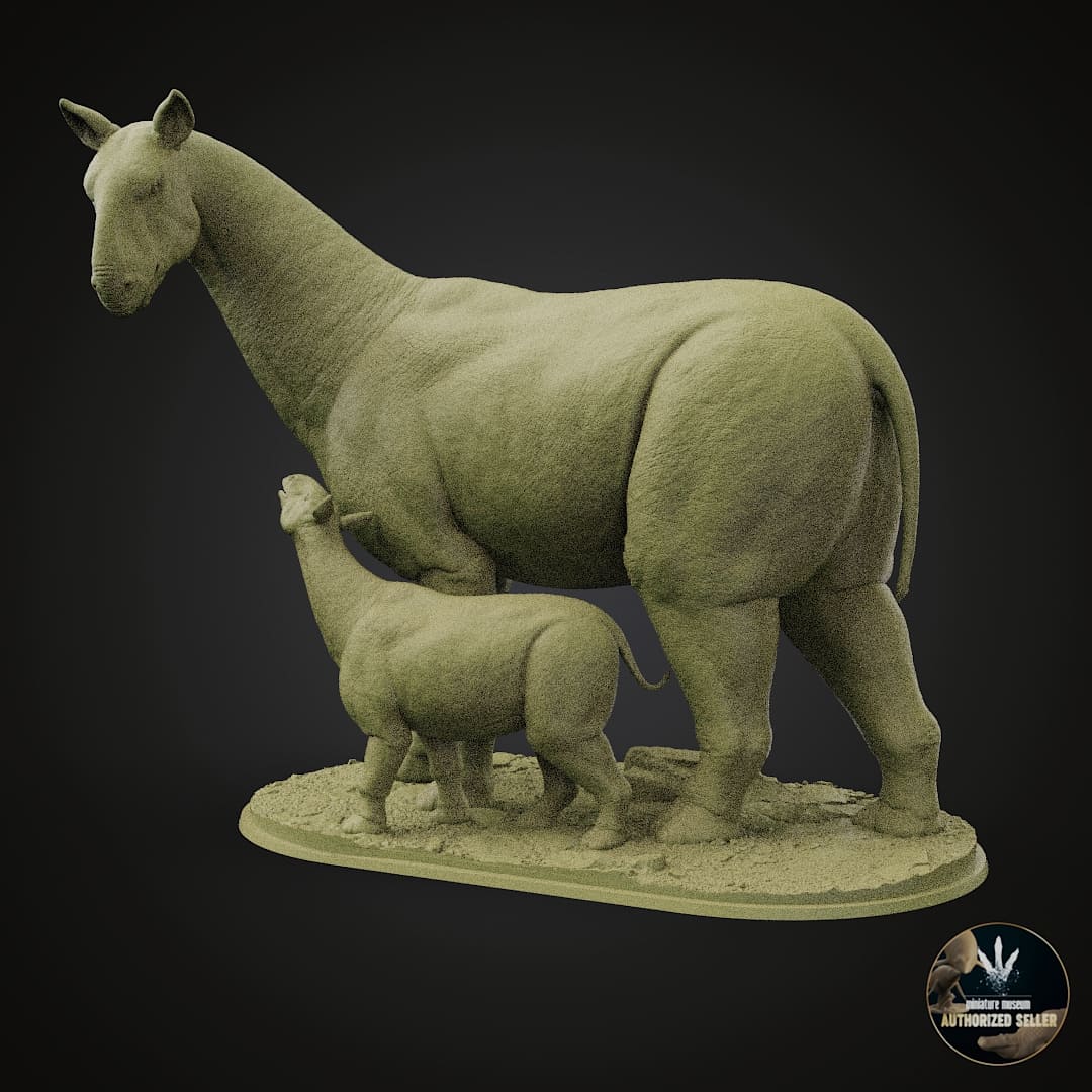 Paraceratherium bugtiense