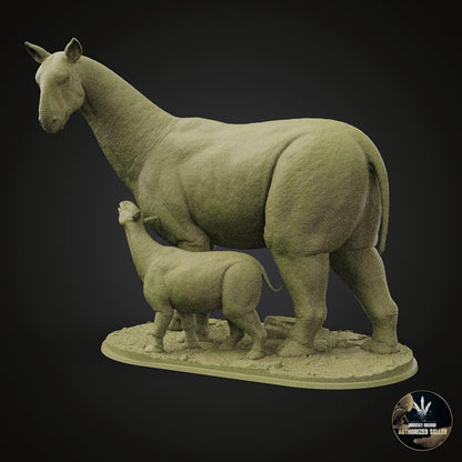 Paraceratherium bugtiense