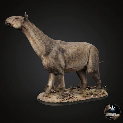 Paraceratherium bugtiense
