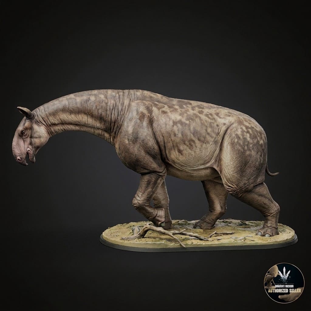 Paraceratherium bugtiense