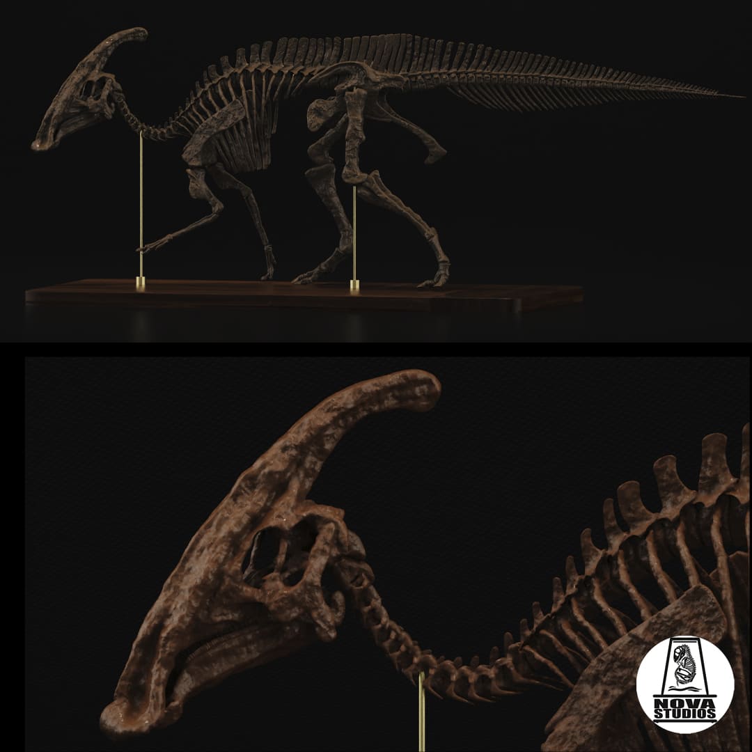 Parasaurolophus walkeri Skeleton