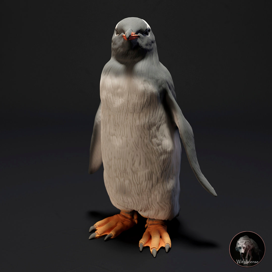 Pingüino de Papúa