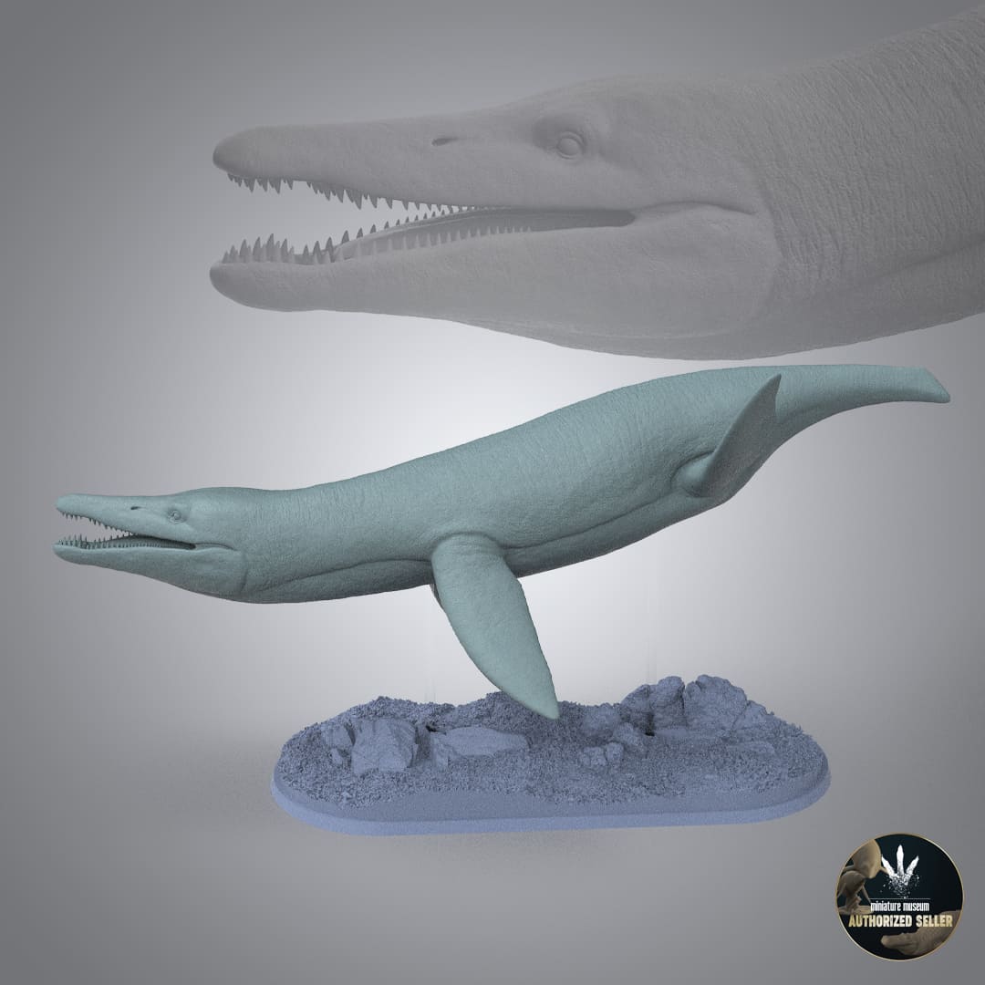 Pliosaurus brachydeirus