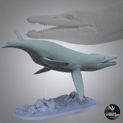 Pliosaurus brachydeirus