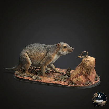 Propleopus oscillans