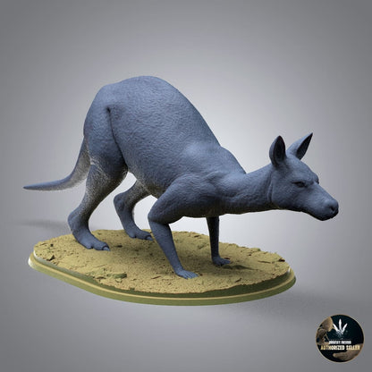 Protemnodon anak