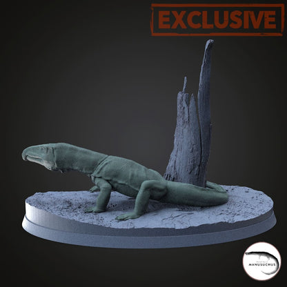 Proterosuchus fergusi