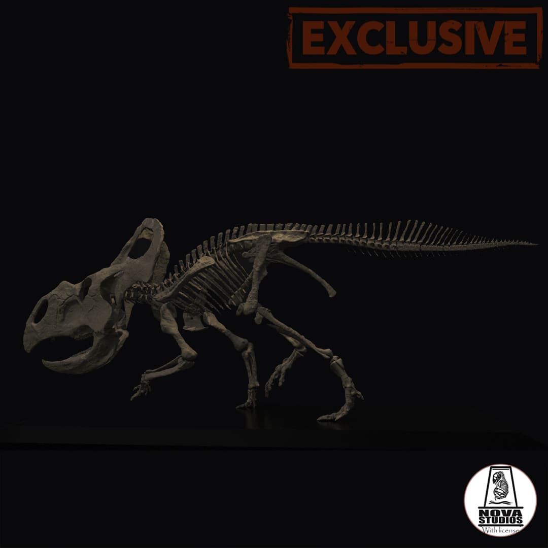 Protoceratops andrewsi