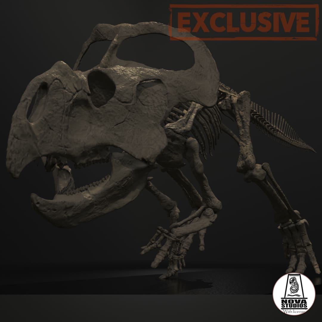 Protoceratops andrewsi