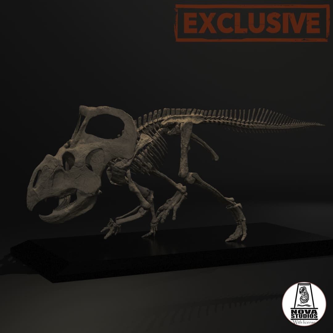 Protoceratops andrewsi