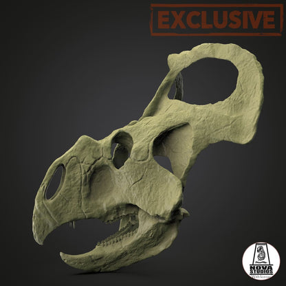 Protoceratops andrewsi lebensgroßer Schädel