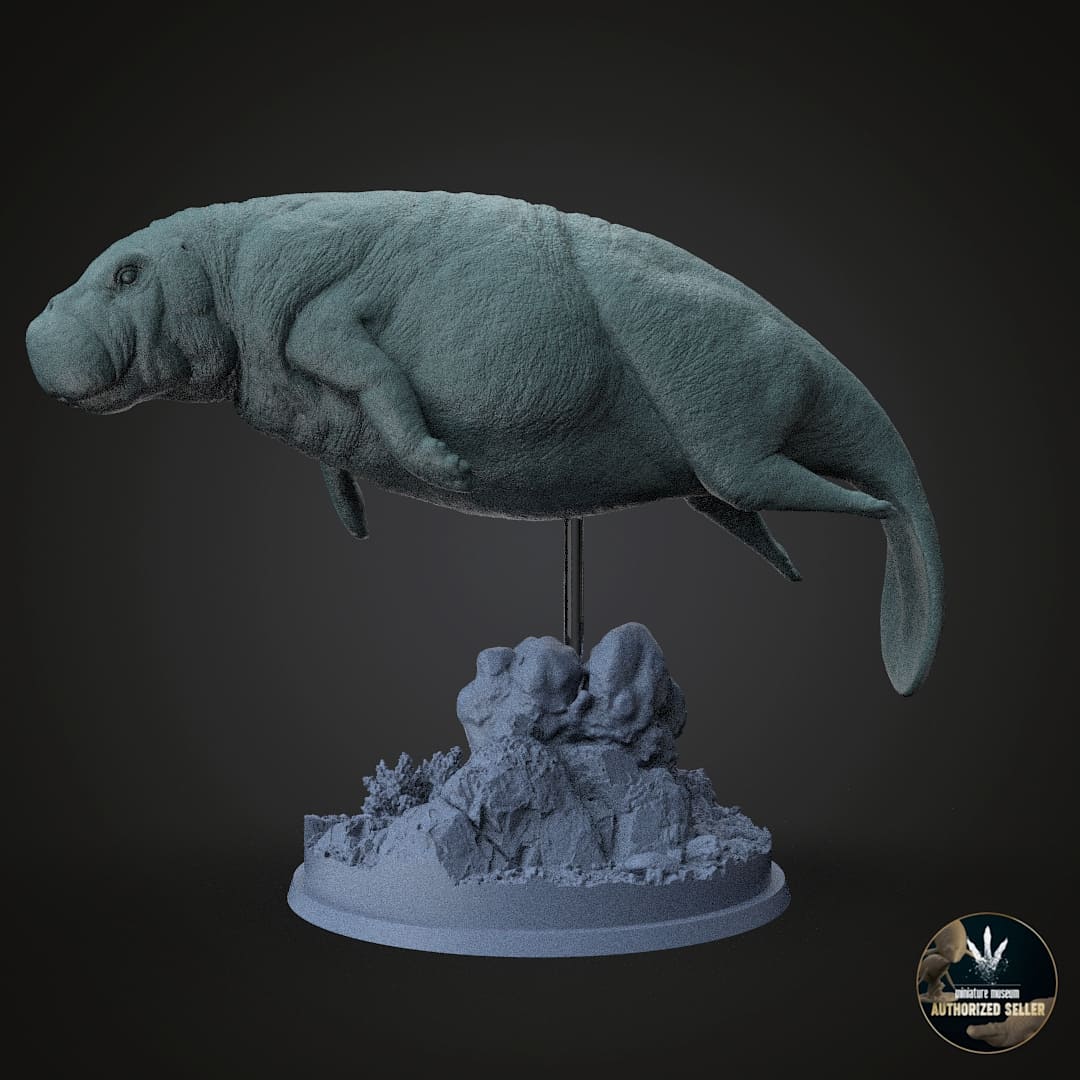 Protosiren fraasi