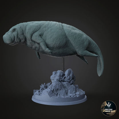 Protosiren fraasi