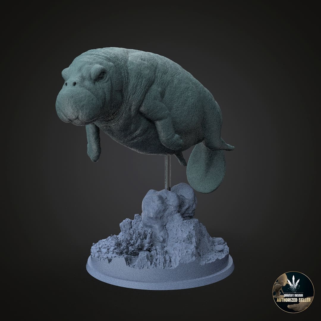 Protosiren fraasi