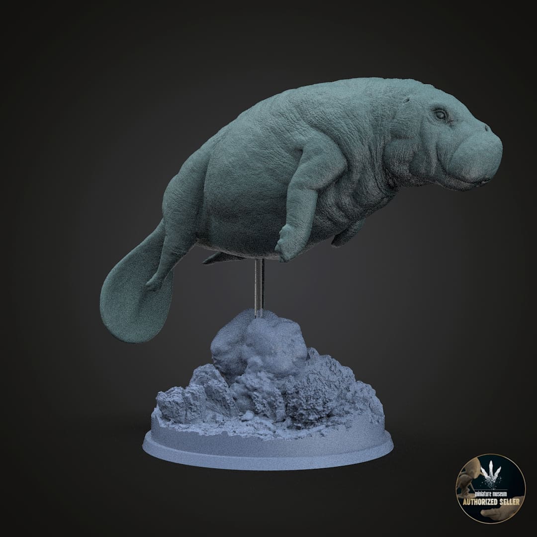 Protosiren fraasi