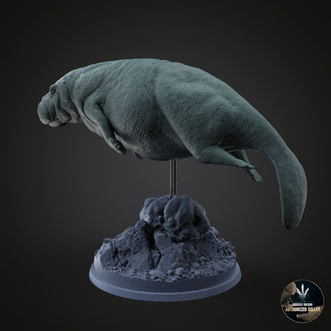 Protosiren fraasi