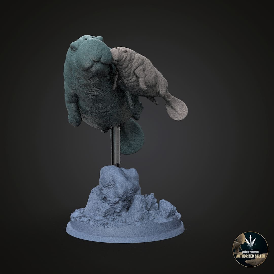 Protosiren fraasi