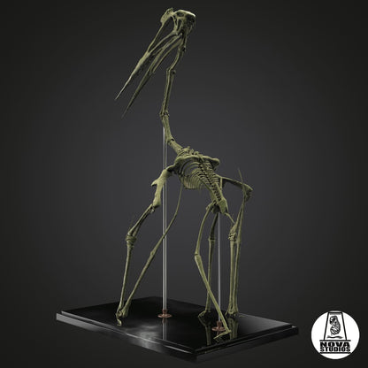 Quetzalcoatlus northropi-Skelett