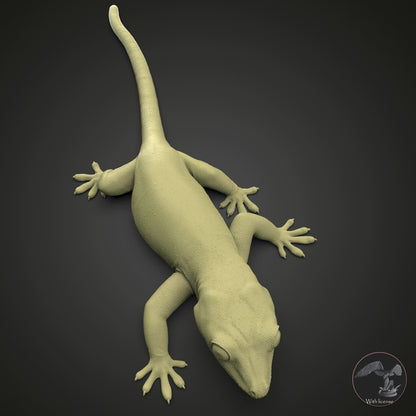 Rhacodactylus auriculatus (Gargoyle Gecko)