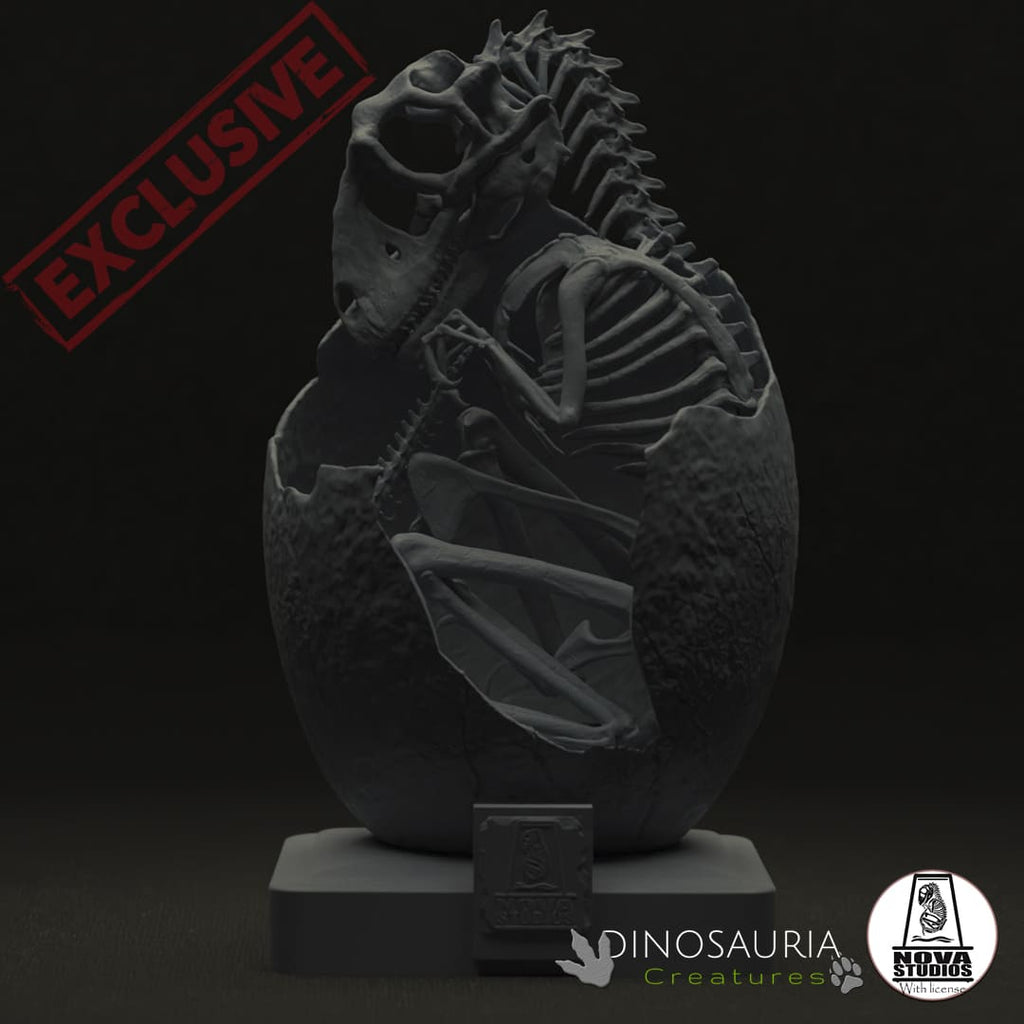 Baby Raptor Ase Baby Raptor – Dinosauria Creatures