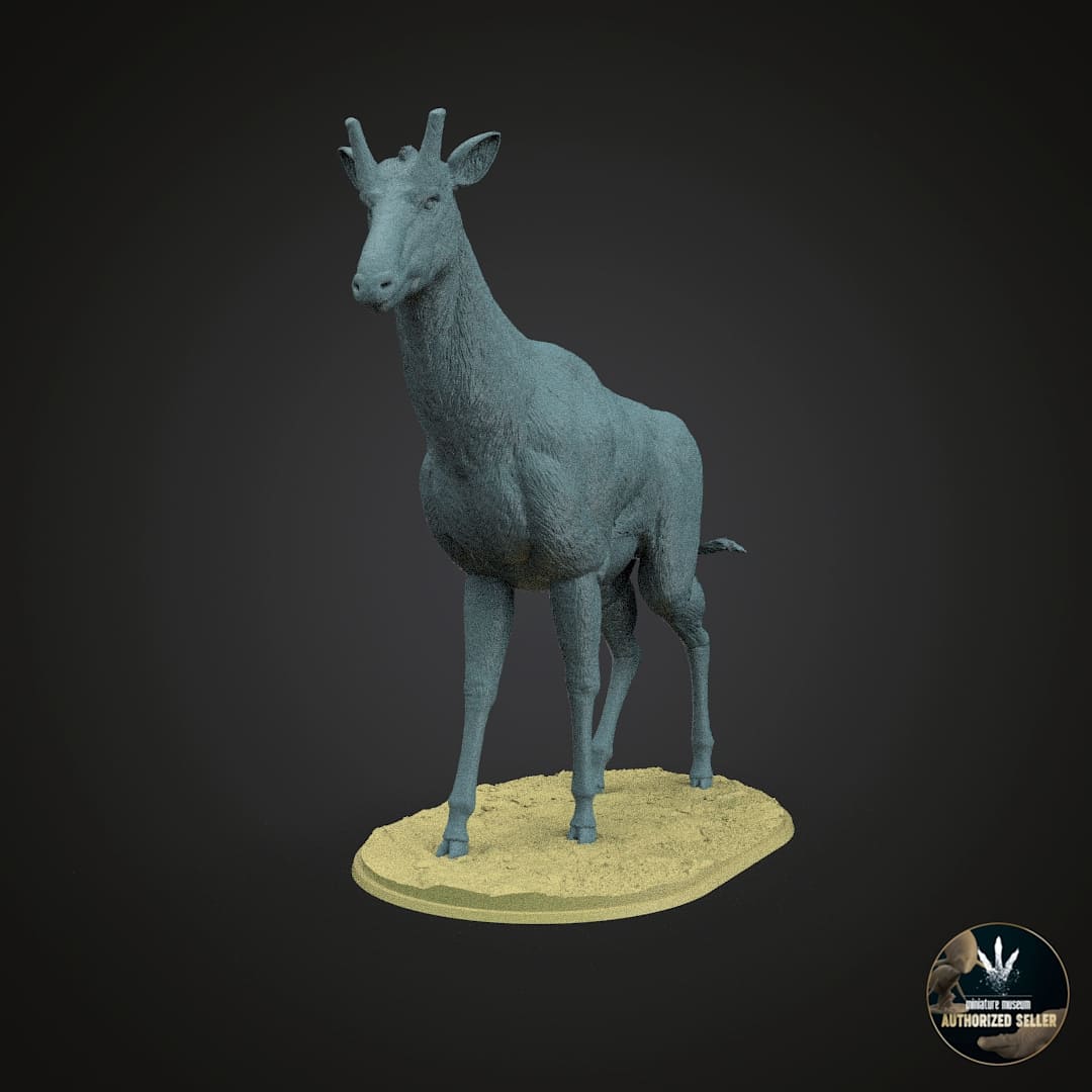 Samotherium