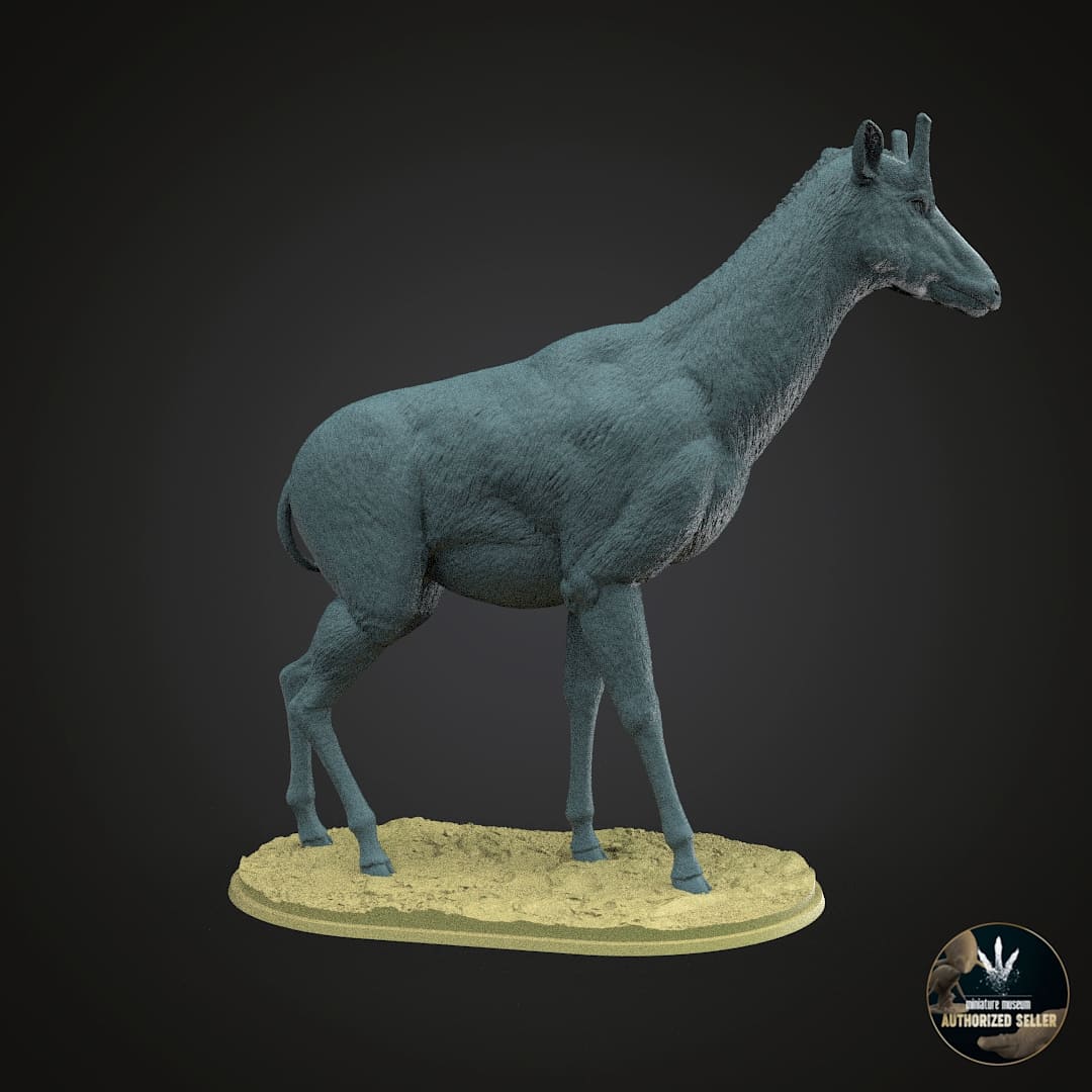 Samotherium