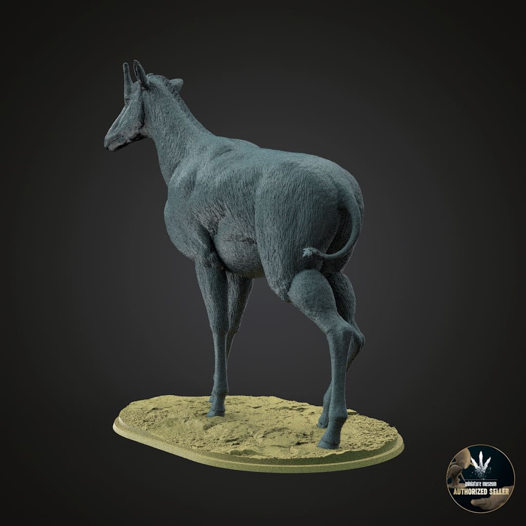 Samotherium