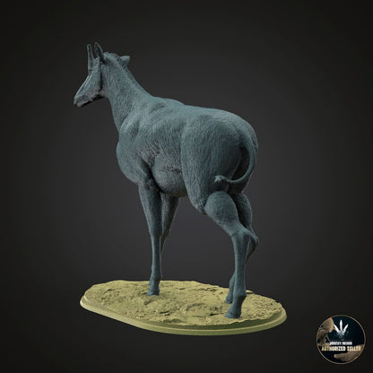 Samotherium